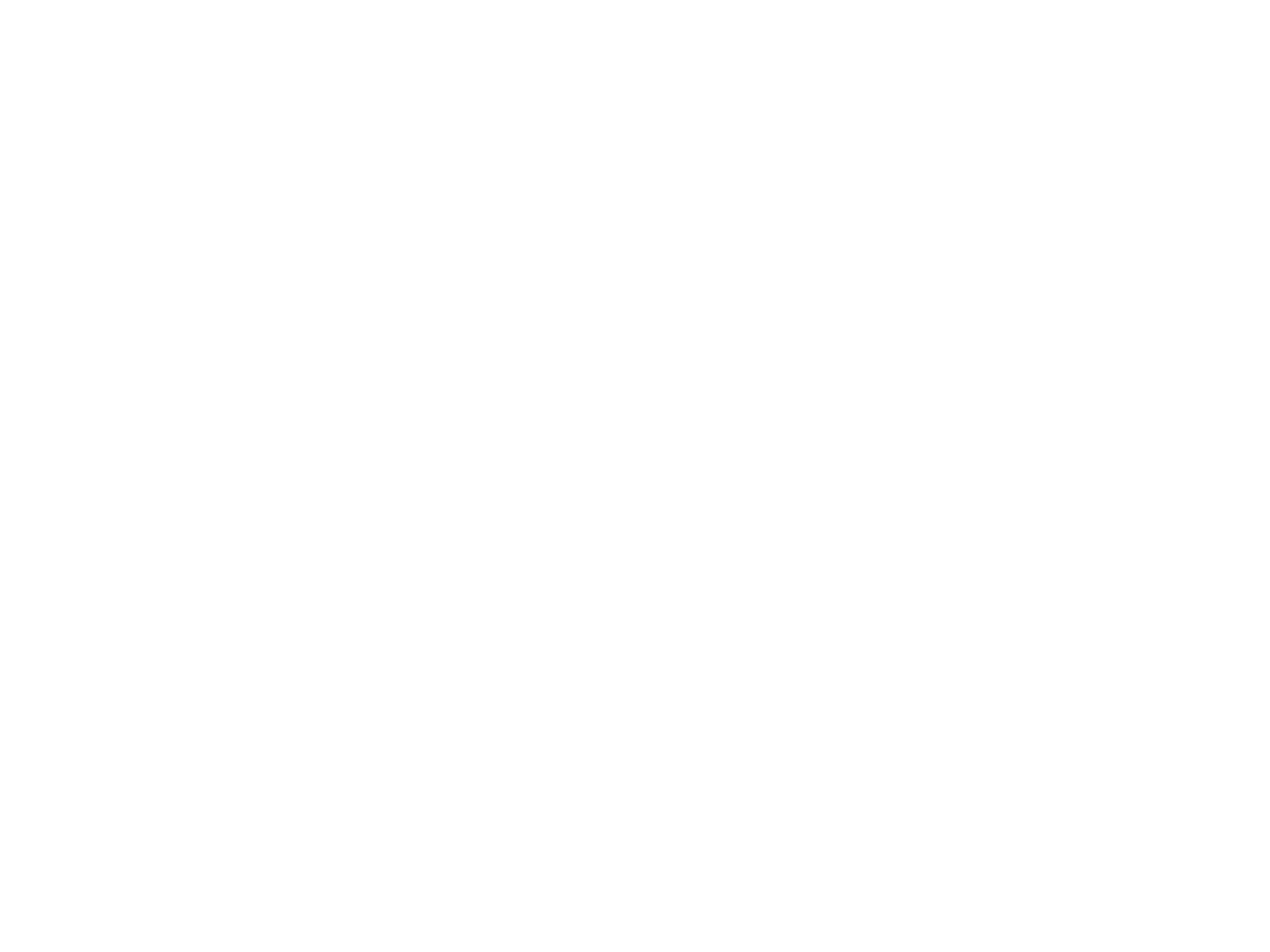 Logo der Website mit dem Schriftzug "FLOW"